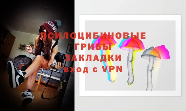 spice Беломорск