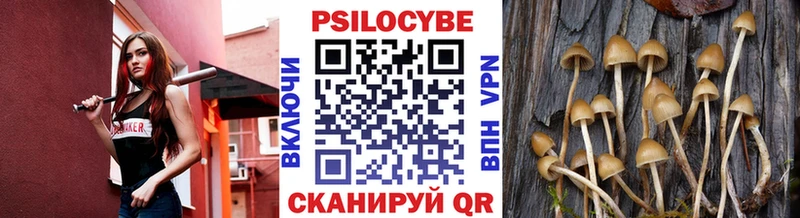 где можно купить наркотик  Салаир  MEGA ССЫЛКА  Псилоцибиновые грибы Psilocybe 